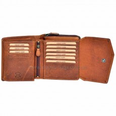 3697_brown-2